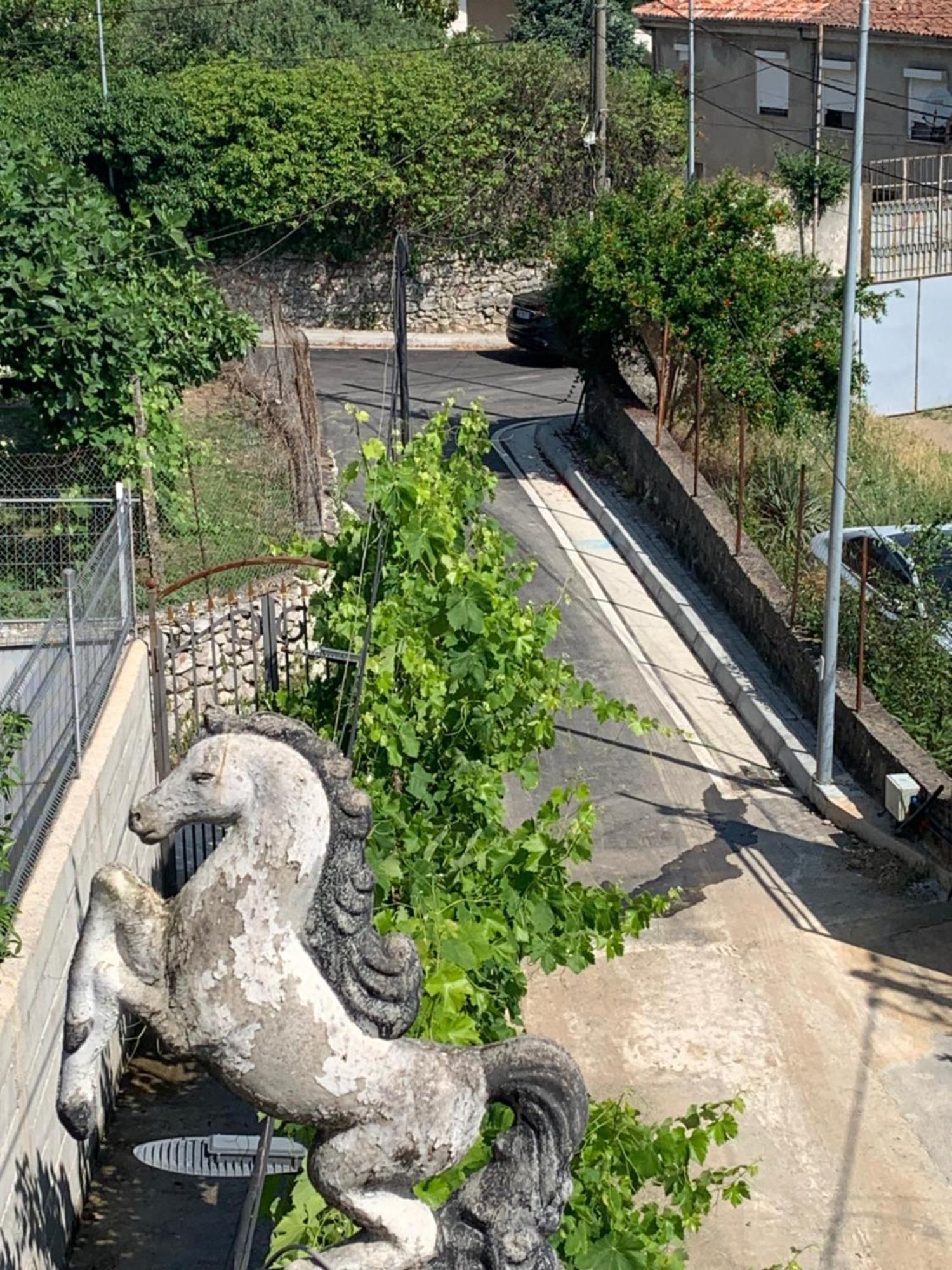 Dlmeti Apartamento *
